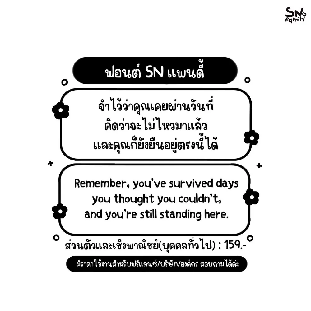 SN แพนดี้ รูปที่ 2