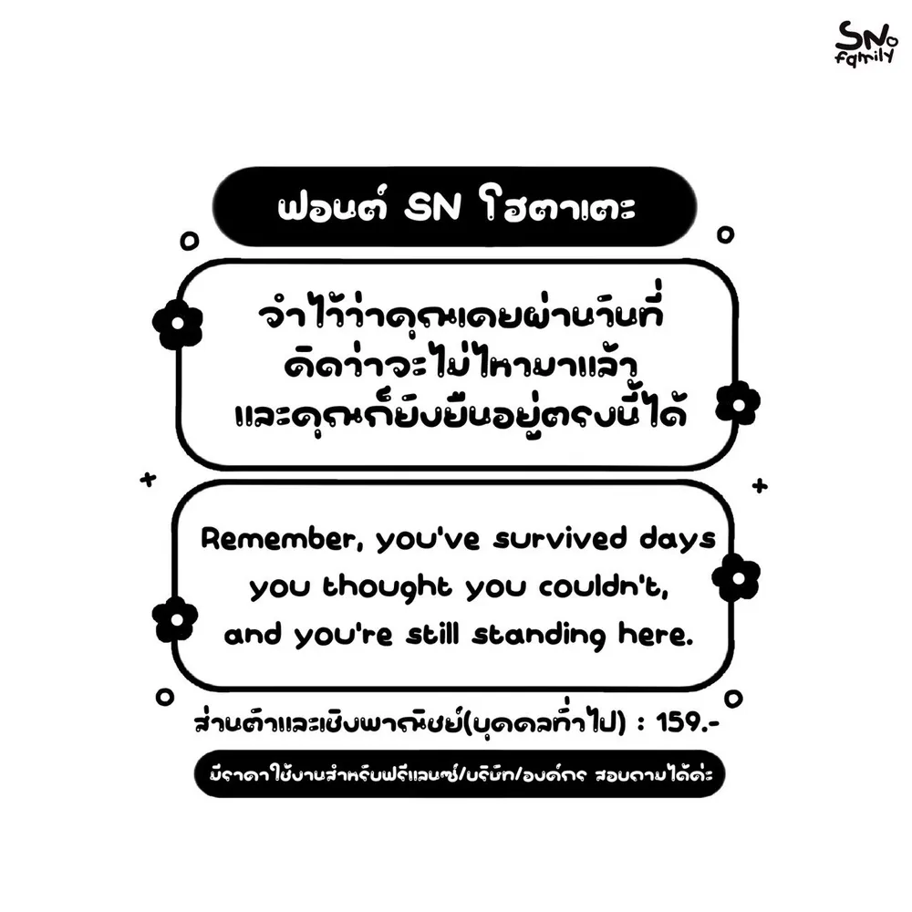 SN โฮตาเตะ รูปที่ 2