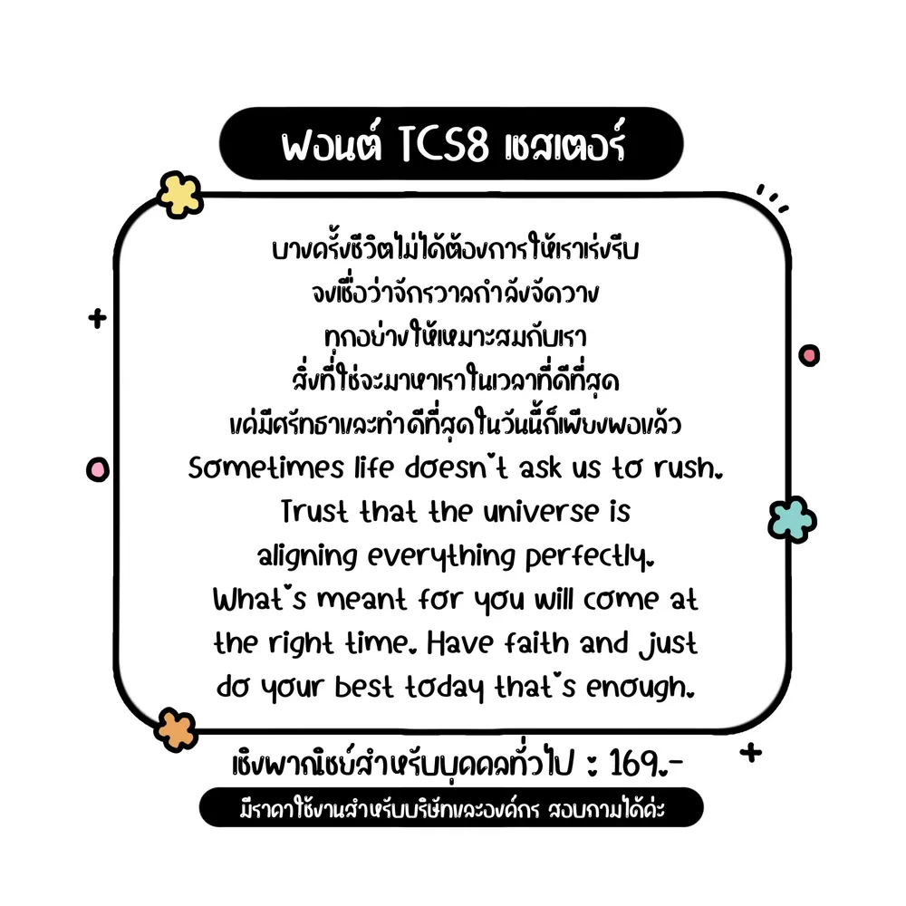 TCS เชสเตอร์ รูปที่ 2