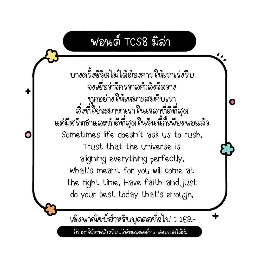 TCS มิล่า รูปที่ 2