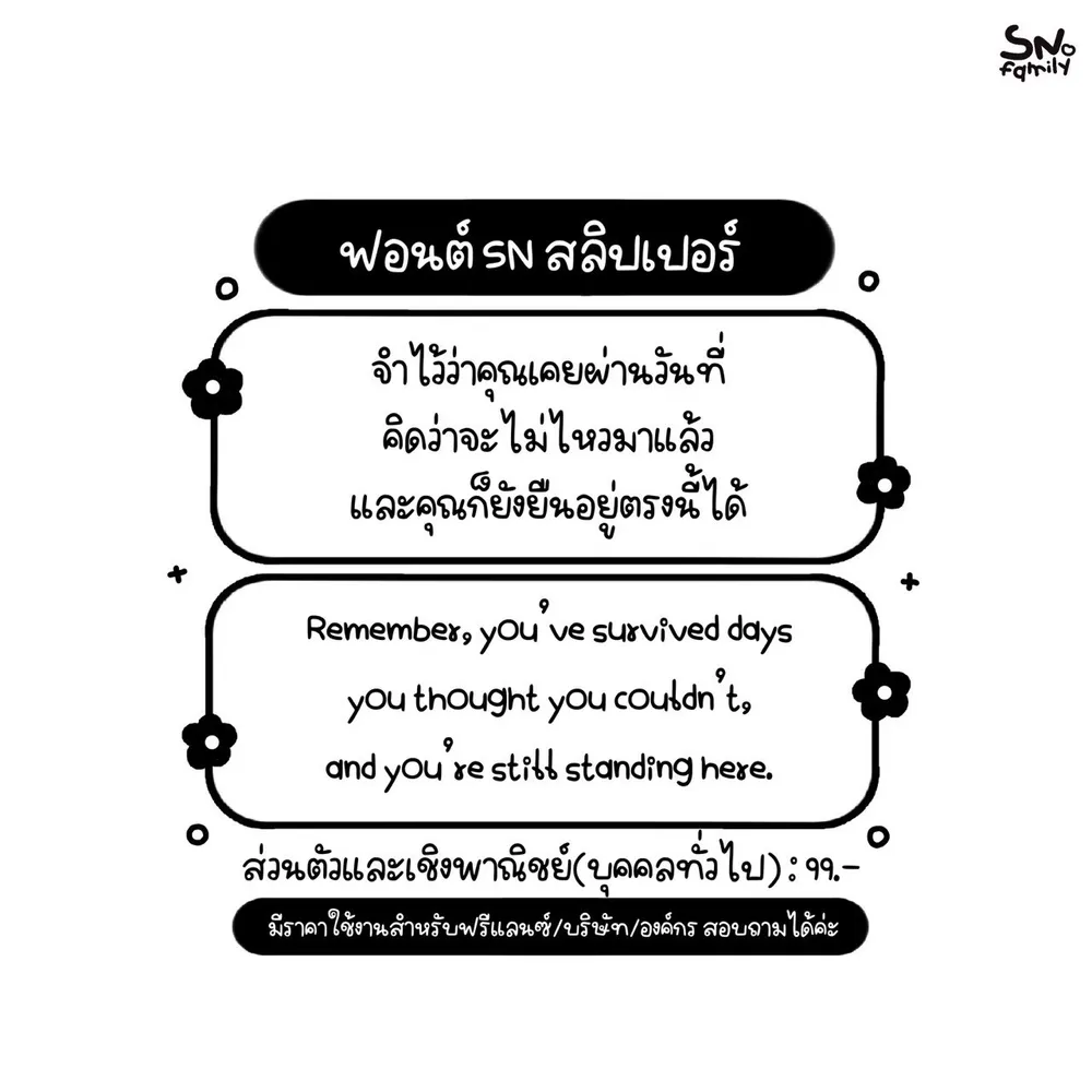 SN สลิปเปอร์ รูปที่ 2