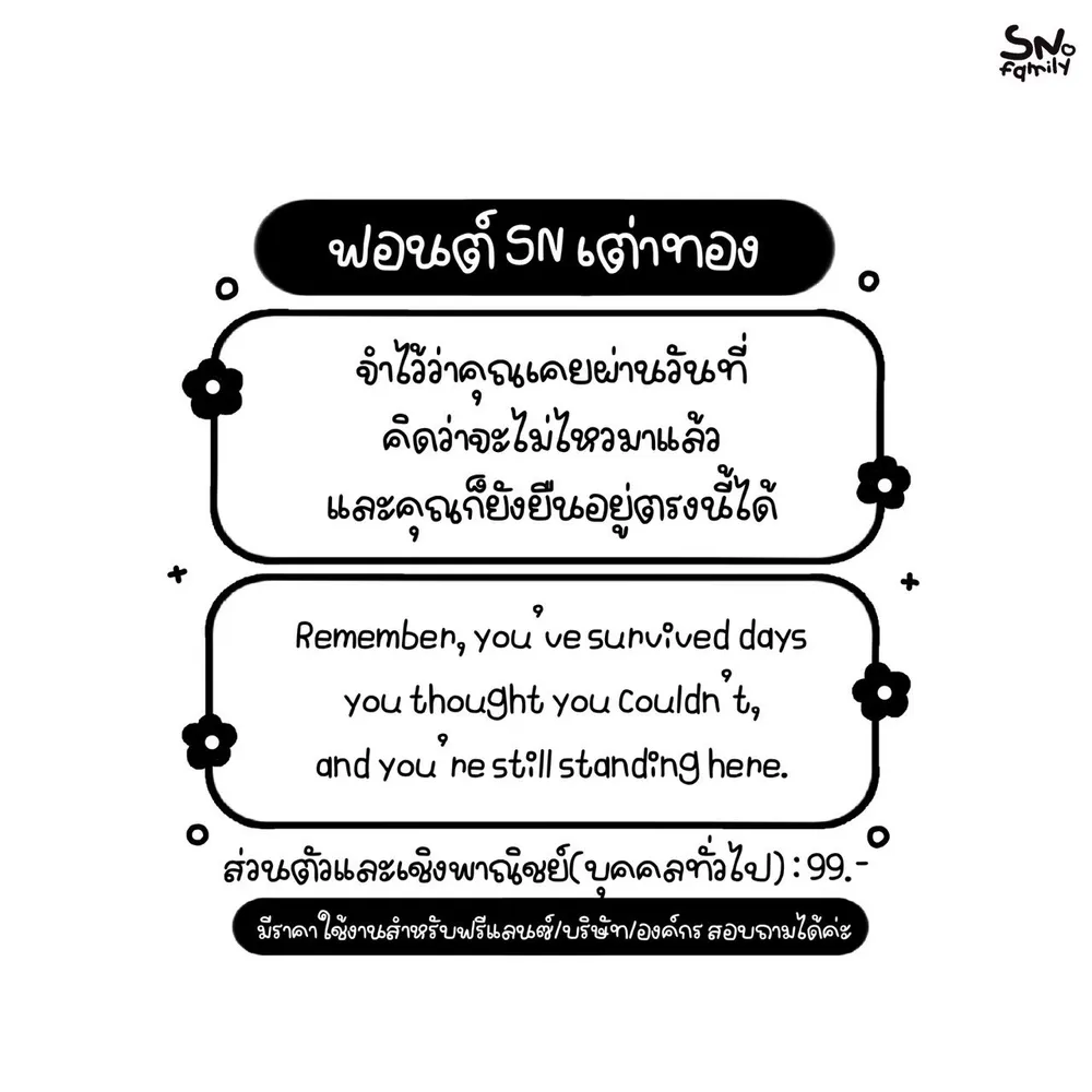 SN เต่าทอง รูปที่ 2