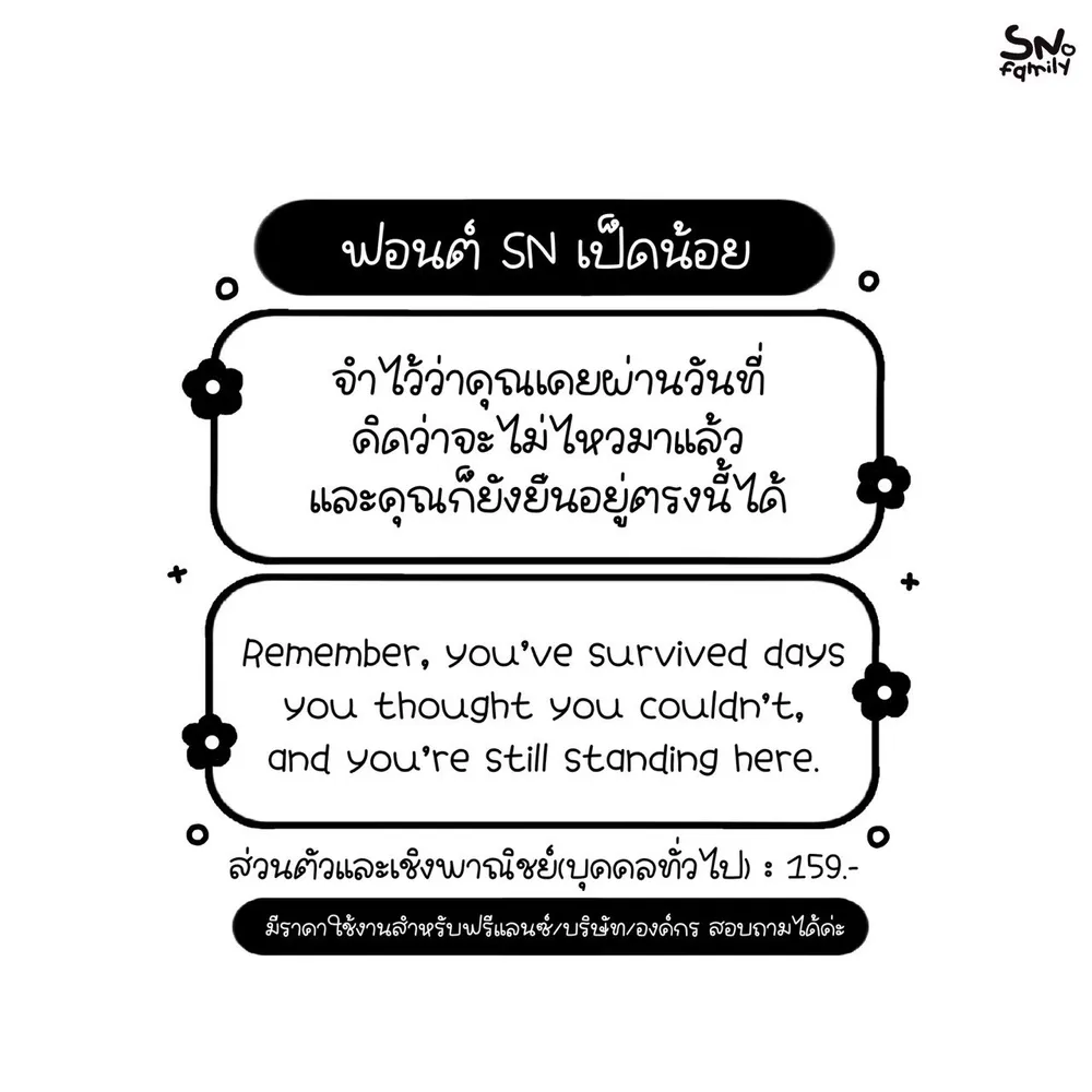 SN เป็ดน้อย รูปที่ 2