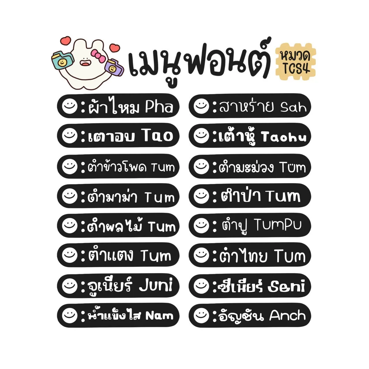 TCS เหมาไดรฟ์ฟอนต์บ้าน TCS 15