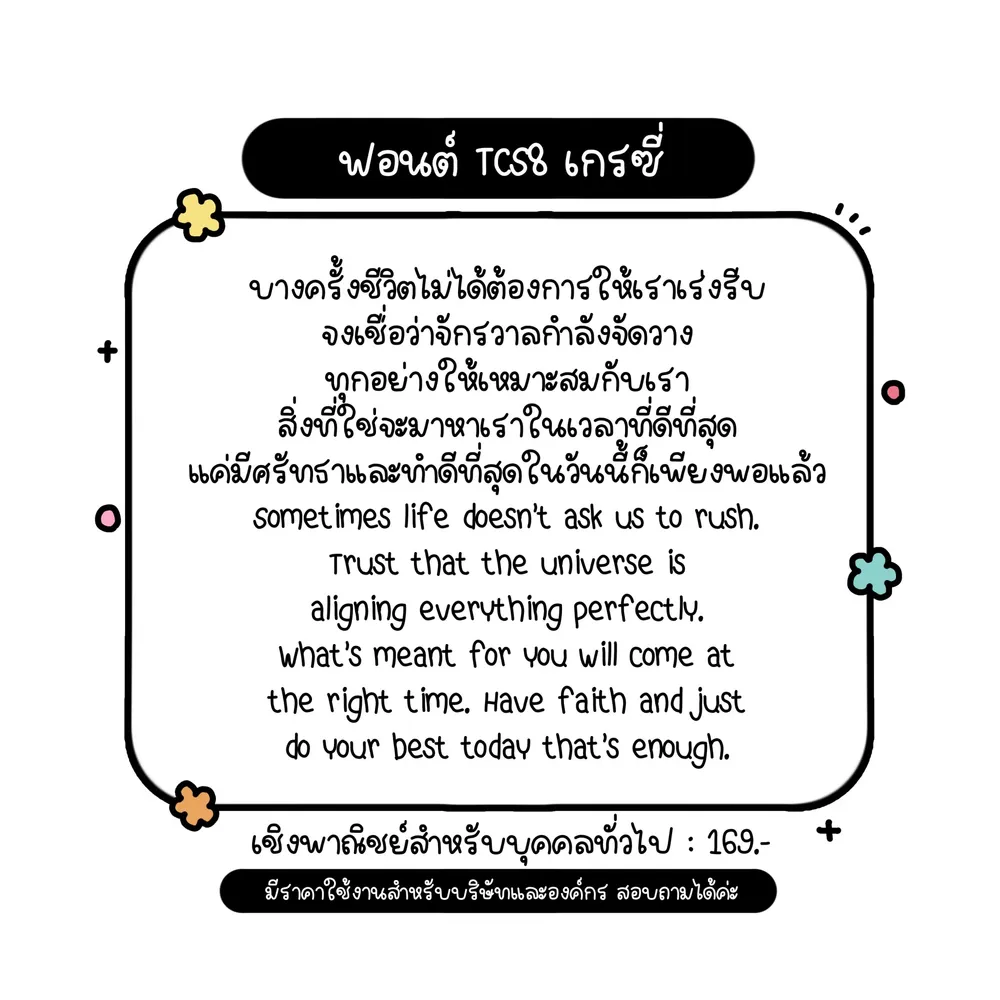 TCS เกรซี่ รูปที่ 2