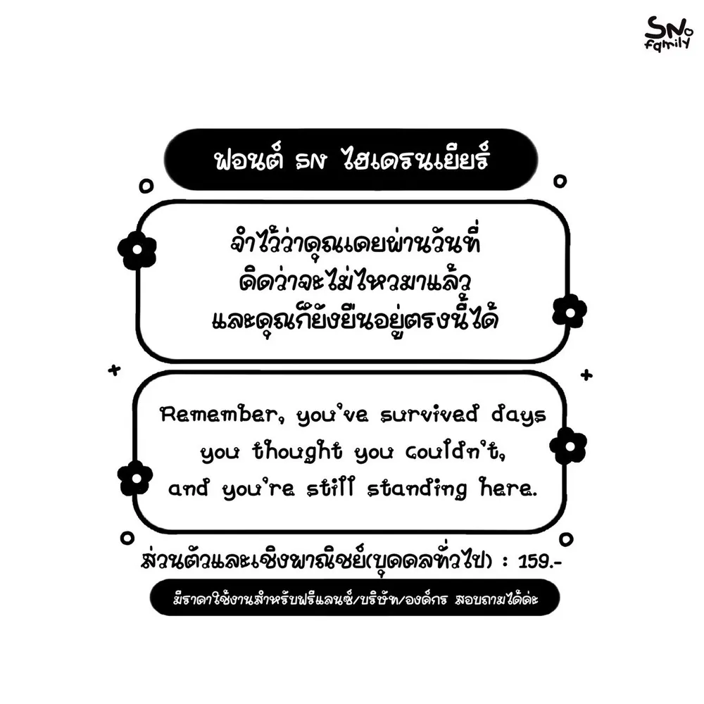 SN ไฮเดรนเยียร์ รูปที่ 2