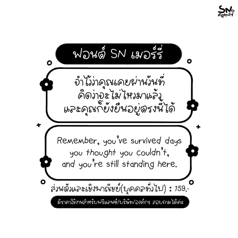 SN เมอร์รี่ รูปที่ 2