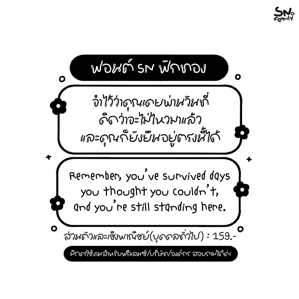 SN ฟักทอง รูปที่ 2