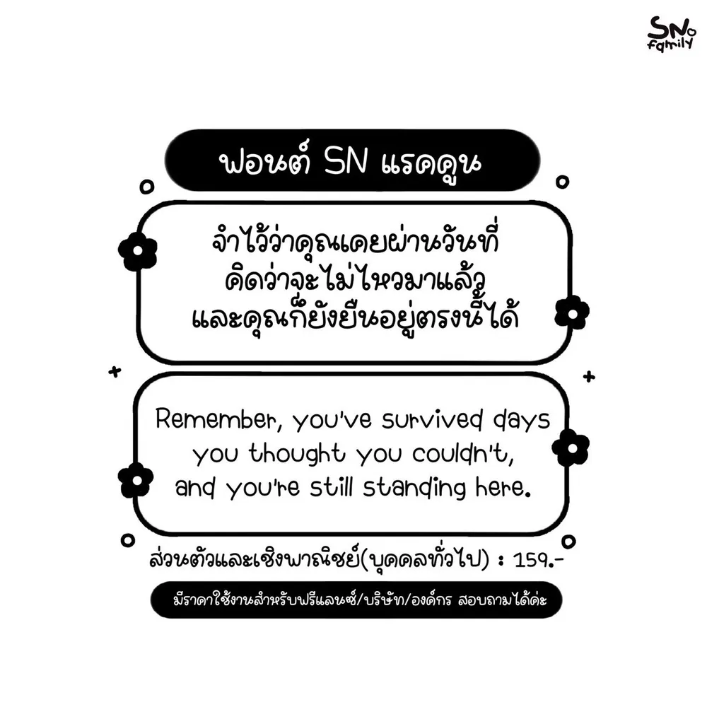 SN แร็คคูน รูปที่ 2