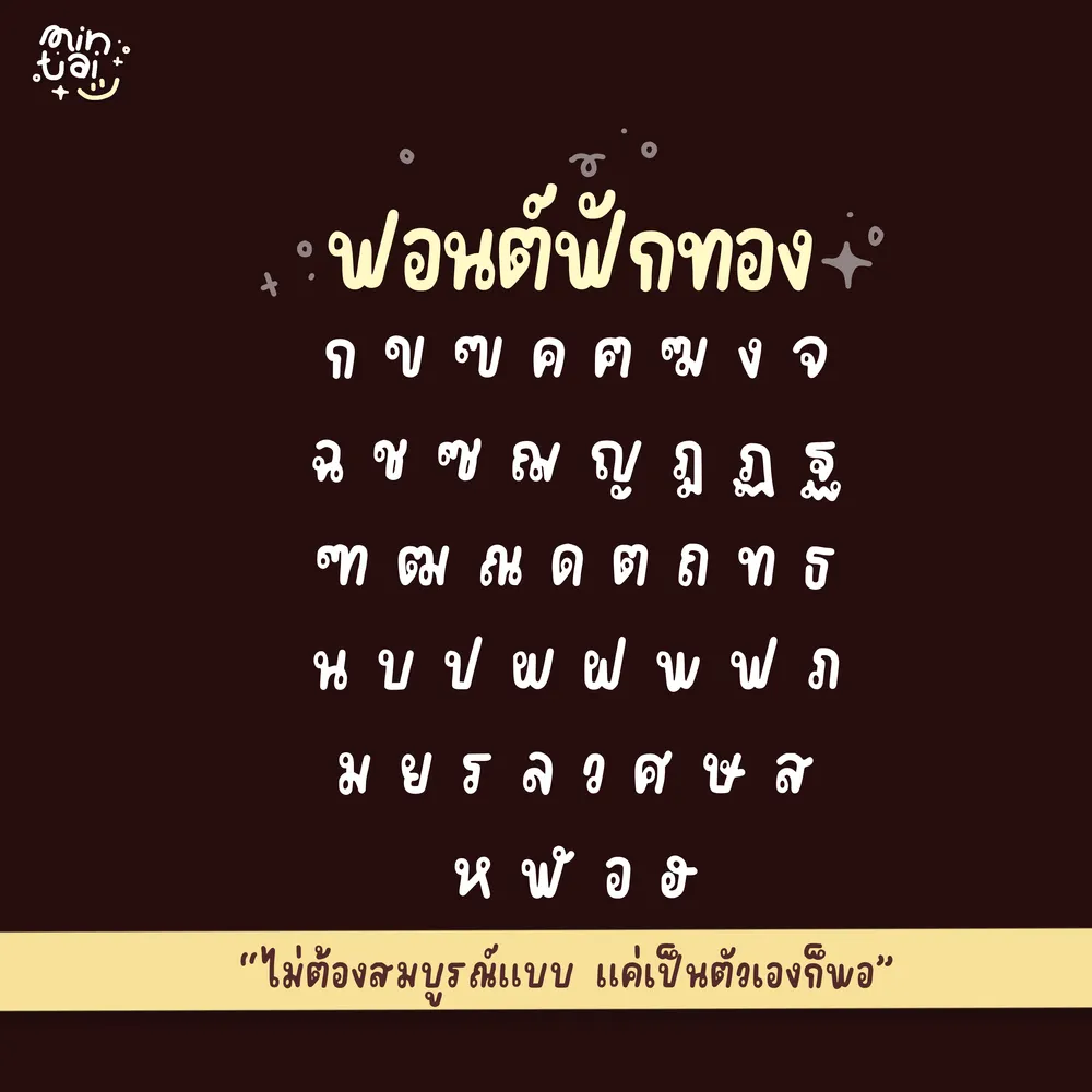MT ฟักทอง รูปที่ 2