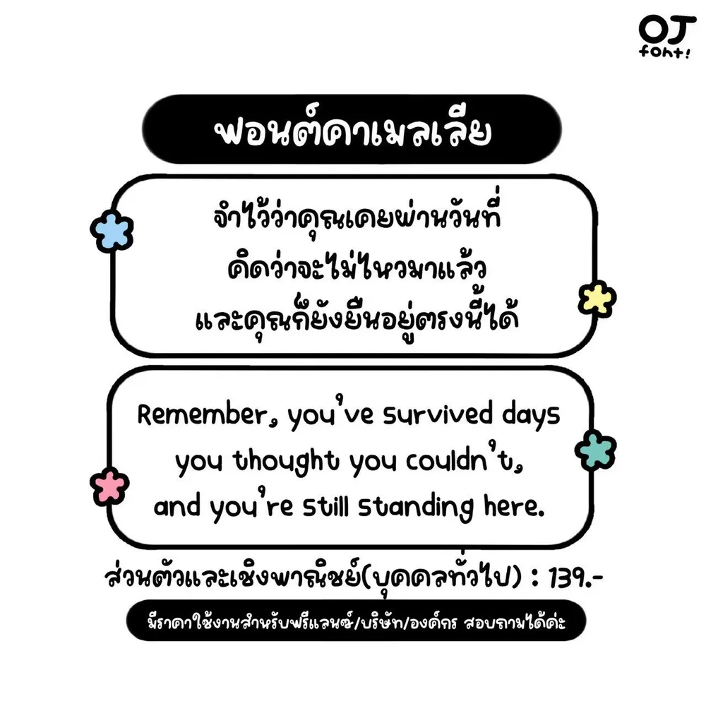 OJ คาเมลเลีย รูปที่ 2