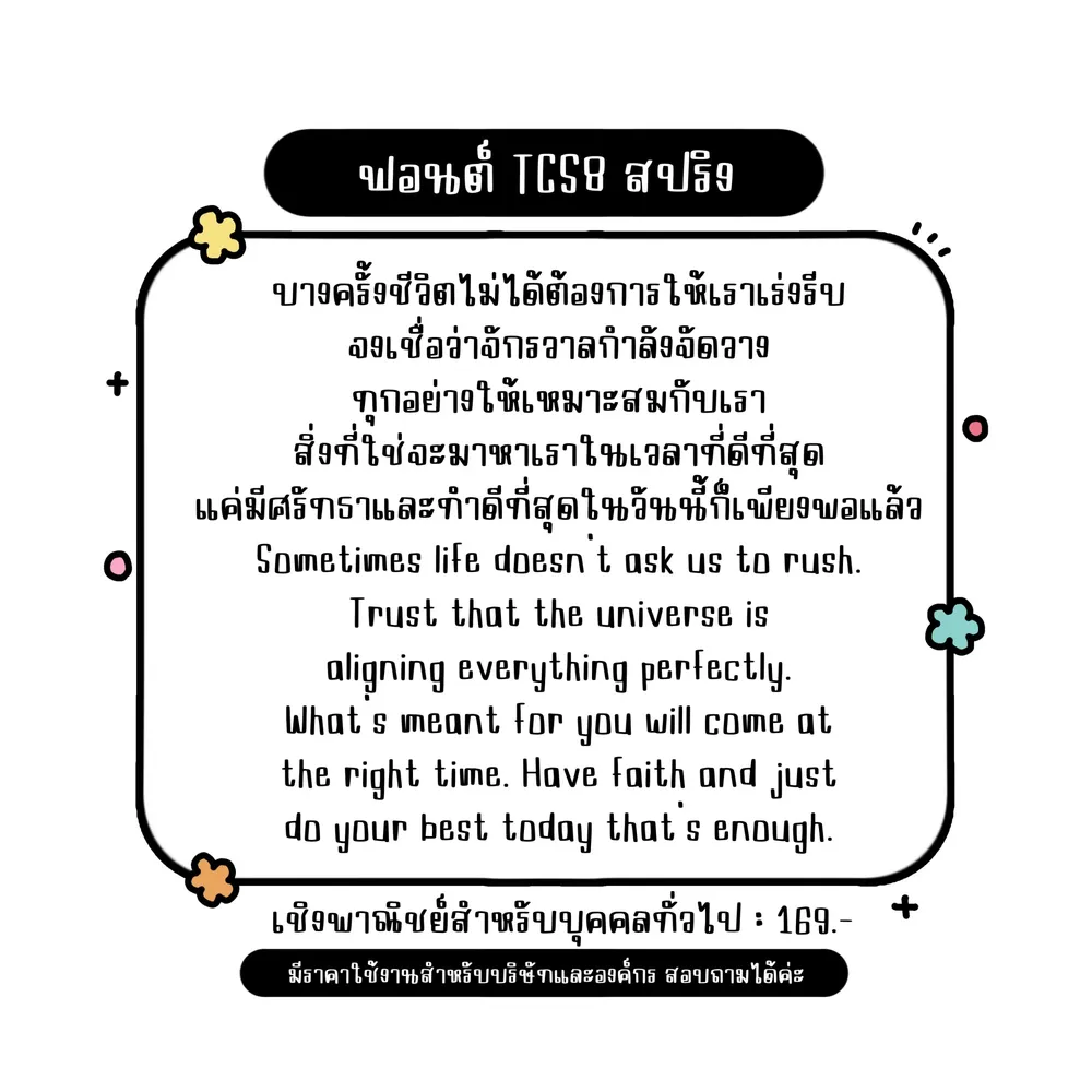 TCS สปริง รูปที่ 2