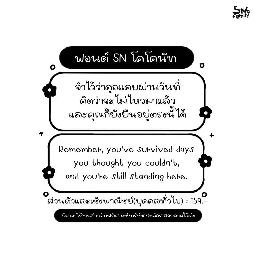 SN โคโคนัท รูปที่ 2