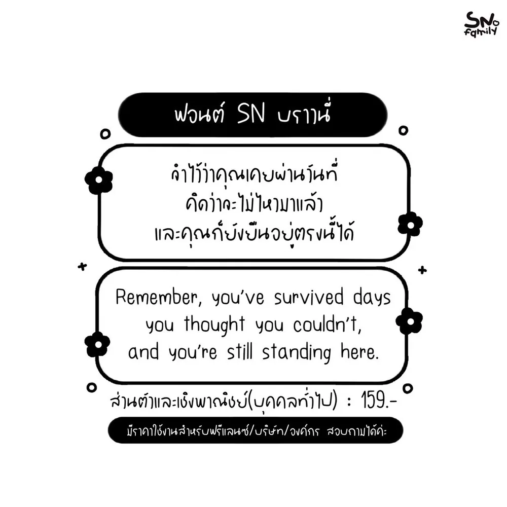 SN บราวนี่ รูปที่ 2