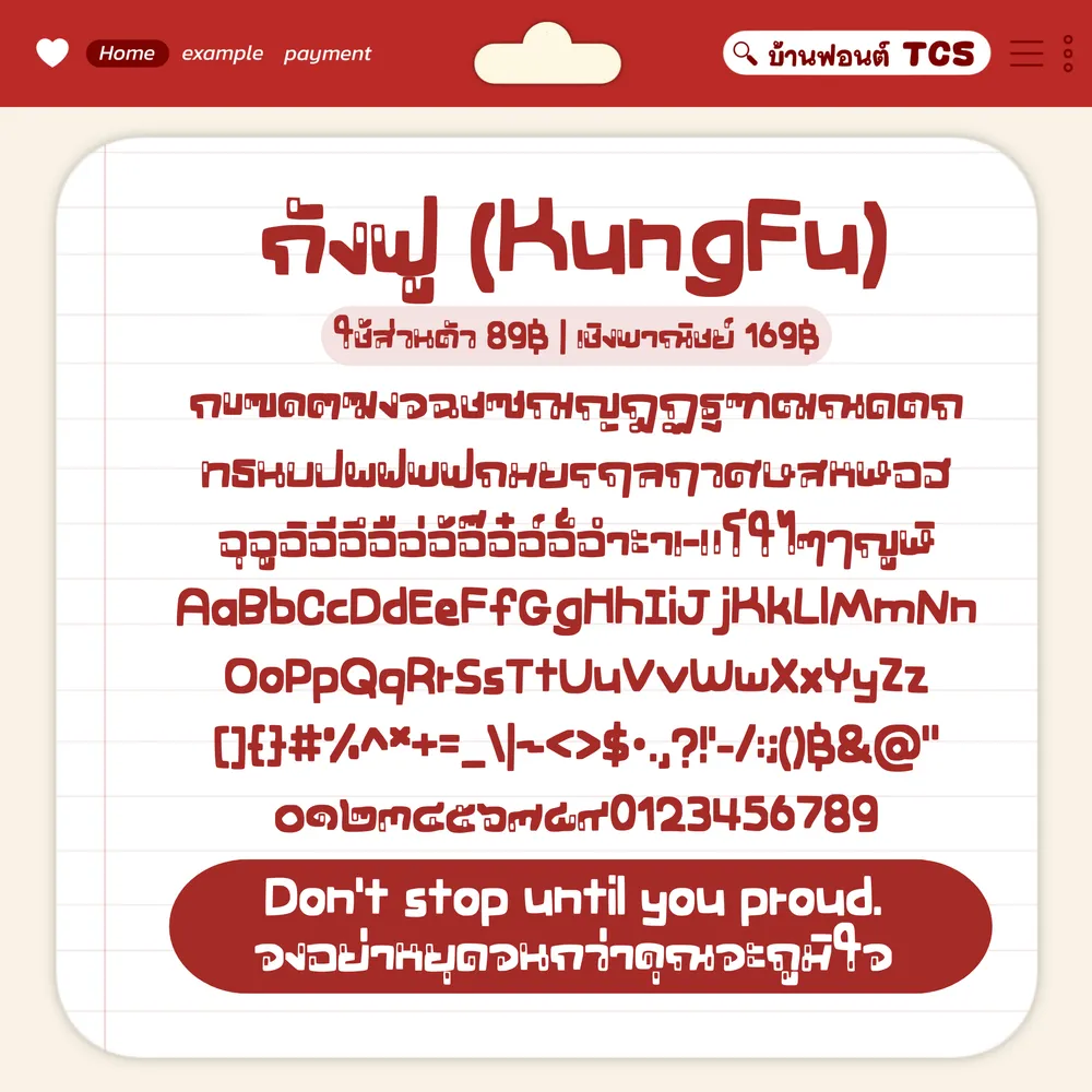 TCS4 กังฟู รูปปก