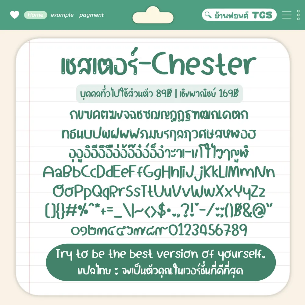 TCS เชสเตอร์ รูปที่ 3