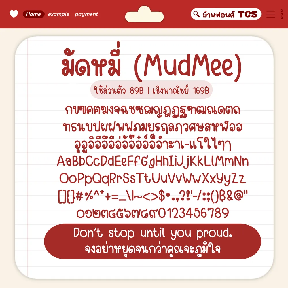 TCS4 มัดหมี่ รูปปก