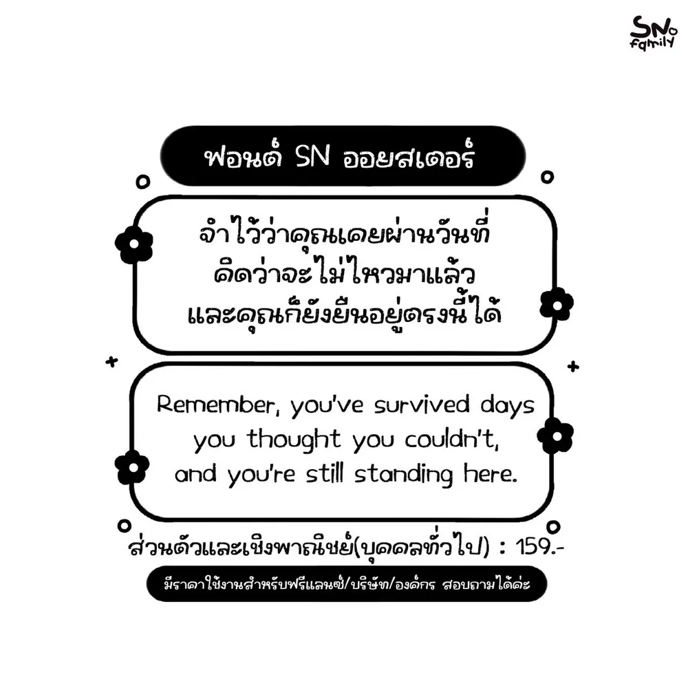 SN ออยสเตอร์ รูปที่ 2