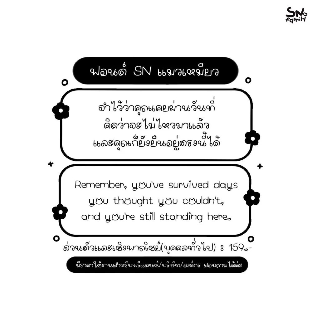 SN แมวเหมียว รูปที่ 2