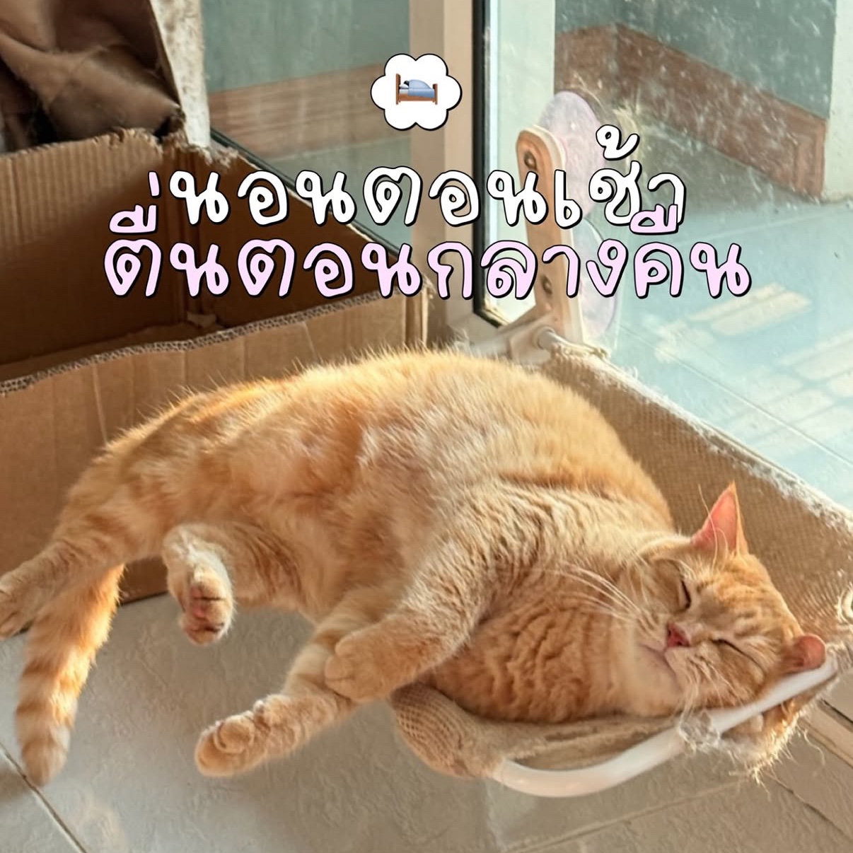 แต่งรูปน่ารัก • เล่าเรื่อง